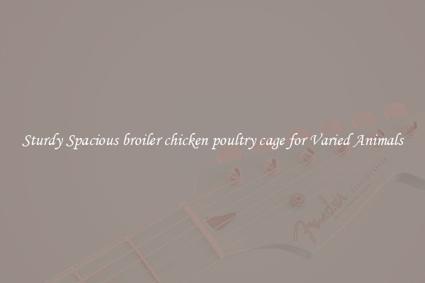 Sturdy Spacious broiler chicken poultry cage for Varied Animals