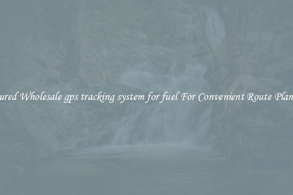 Featured Wholesale gps tracking system for fuel For Convenient Route Planning 