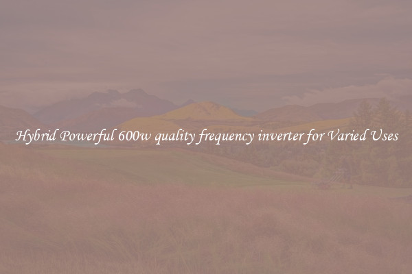 Hybrid Powerful 600w quality frequency inverter for Varied Uses