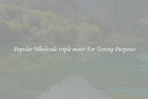 Popular Wholesale triple meter For Testing Purposes