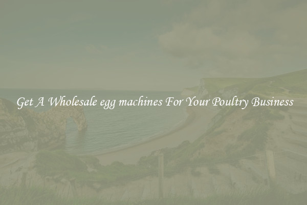 Get A Wholesale egg machines For Your Poultry Business
