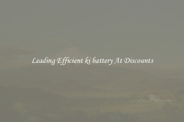 Leading Efficient ki battery At Discounts