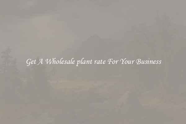 Get A Wholesale plant rate For Your Business