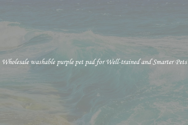 Wholesale washable purple pet pad for Well-trained and Smarter Pets