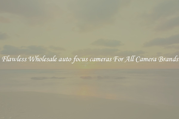 Flawless Wholesale auto focus cameras For All Camera Brands