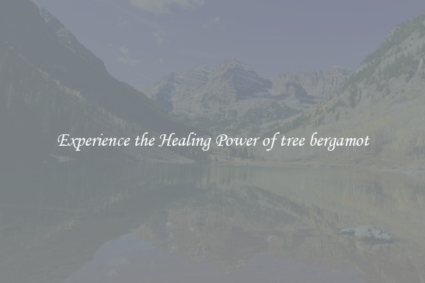 Experience the Healing Power of tree bergamot