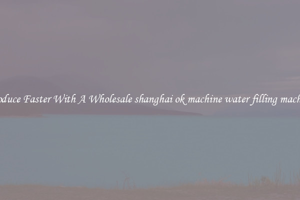 Produce Faster With A Wholesale shanghai ok machine water filling machine
