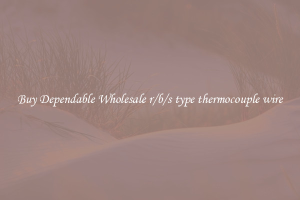 Buy Dependable Wholesale r/b/s type thermocouple wire